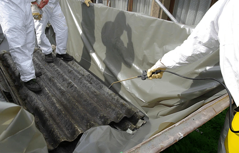 Home 2 asbestos removal